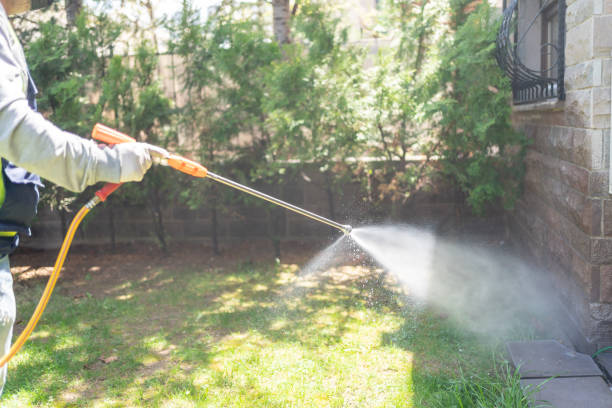 Best Mosquito Control  in Manhasset Hills, NY